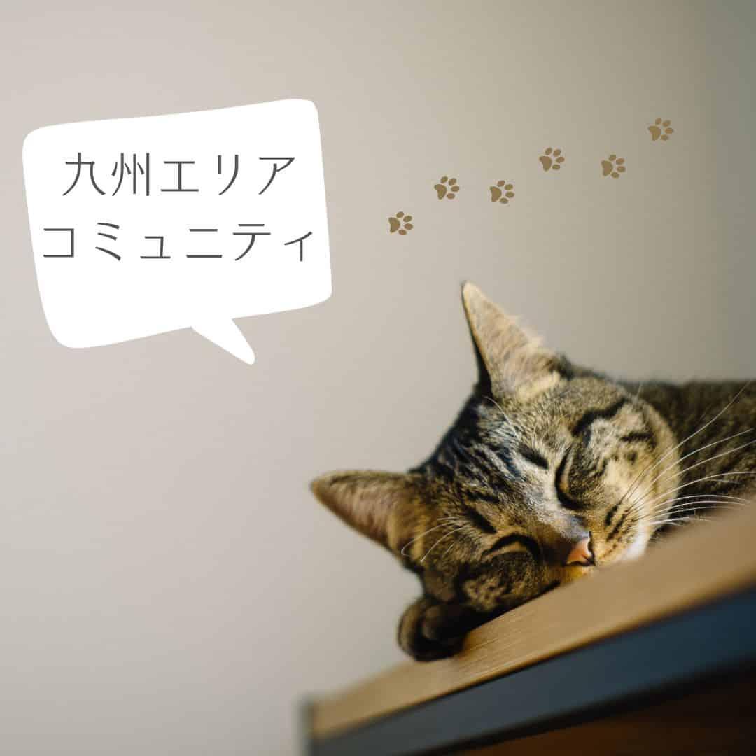 ロゴ画像